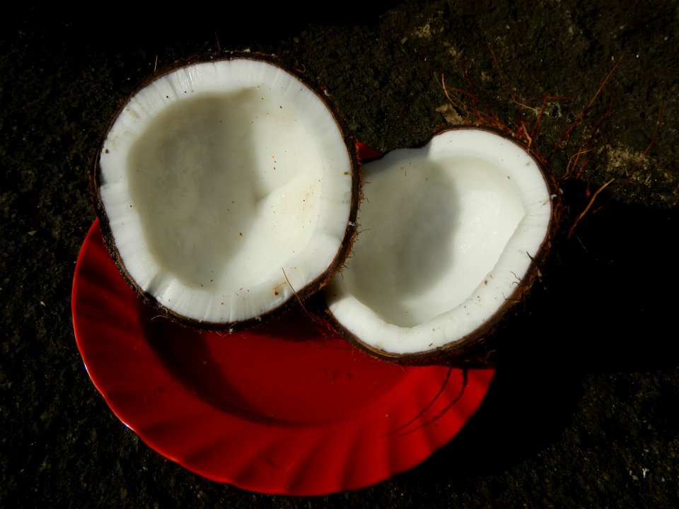 List of Philippine dishes Cuisine of Bulacan Foods Fruits photos taken in Barangay Poblacion 14°57'17"N 120°54'2"E Baliuag, Bulacan, Bulacan province (Note: Judge Florentino Floro, the owner, to repea