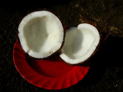 List of Philippine dishes Cuisine of Bulacan Foods Fruits photos taken in Barangay Poblacion 14°57'17"N 120°54'2"E Baliuag, Bulacan, Bulacan province (Note: Judge Florentino Floro, the owner, to repea