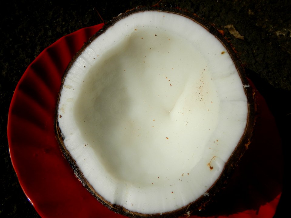 List of Philippine dishes Cuisine of Bulacan Foods Fruits photos taken in Barangay Poblacion 14°57'17"N 120°54'2"E Baliuag, Bulacan, Bulacan province (Note: Judge Florentino Floro, the owner, to repea