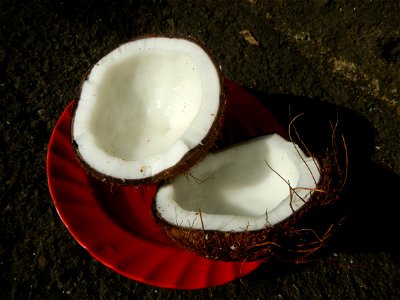 List of Philippine dishes Cuisine of Bulacan Foods Fruits photos taken in Barangay Poblacion 14°57'17"N 120°54'2"E Baliuag, Bulacan, Bulacan province (Note: Judge Florentino Floro, the owner, to repea