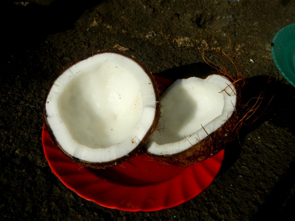 List of Philippine dishes Cuisine of Bulacan Foods Fruits photos taken in Barangay Poblacion 14°57'17"N 120°54'2"E Baliuag, Bulacan, Bulacan province (Note: Judge Florentino Floro, the owner, to repea