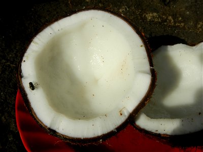 List of Philippine dishes Cuisine of Bulacan Foods Fruits photos taken in Barangay Poblacion 14°57'17"N 120°54'2"E Baliuag, Bulacan, Bulacan province (Note: Judge Florentino Floro, the owner, to repea