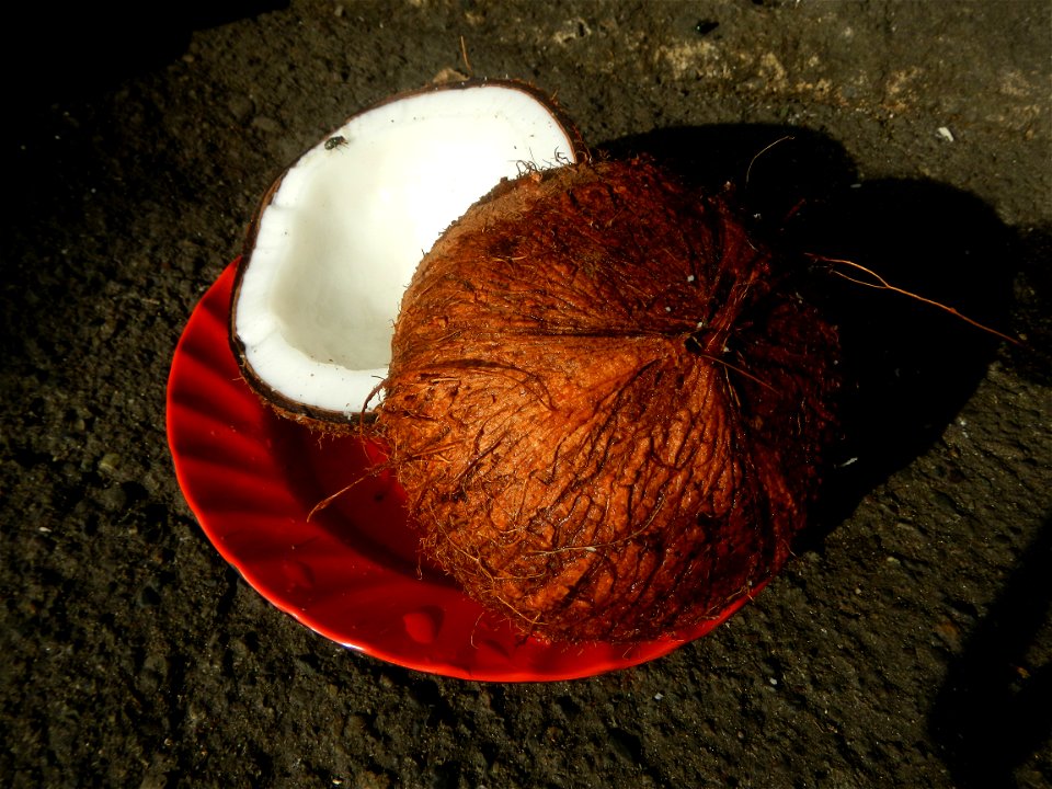 List of Philippine dishes Cuisine of Bulacan Foods Fruits photos taken in Barangay Poblacion 14°57'17"N 120°54'2"E Baliuag, Bulacan, Bulacan province (Note: Judge Florentino Floro, the owner, to repea