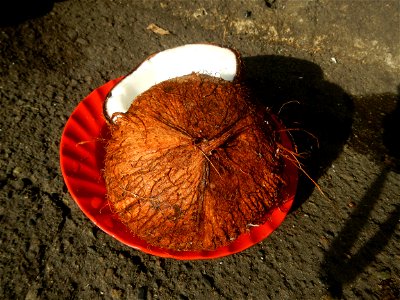List of Philippine dishes Cuisine of Bulacan Foods Fruits photos taken in Barangay Poblacion 14°57'17"N 120°54'2"E Baliuag, Bulacan, Bulacan province (Note: Judge Florentino Floro, the owner, to repea