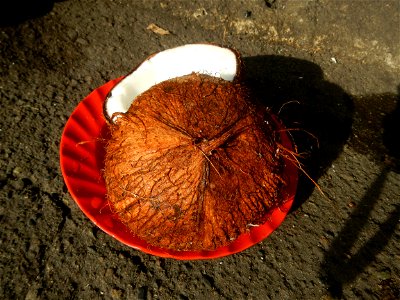 List of Philippine dishes Cuisine of Bulacan Foods Fruits photos taken in Barangay Poblacion 14°57'17"N 120°54'2"E Baliuag, Bulacan, Bulacan province (Note: Judge Florentino Floro, the owner, to repea photo