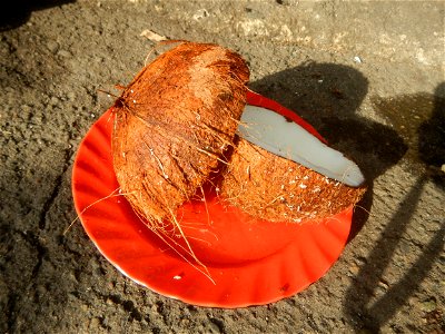 List of Philippine dishes Cuisine of Bulacan Foods Fruits photos taken in Barangay Poblacion 14°57'17"N 120°54'2"E Baliuag, Bulacan, Bulacan province (Note: Judge Florentino Floro, the owner, to repea