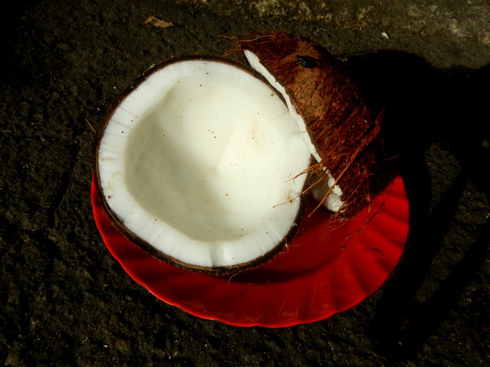 List of Philippine dishes Cuisine of Bulacan Foods Fruits photos taken in Barangay Poblacion 14°57'17"N 120°54'2"E Baliuag, Bulacan, Bulacan province (Note: Judge Florentino Floro, the owner, to repea
