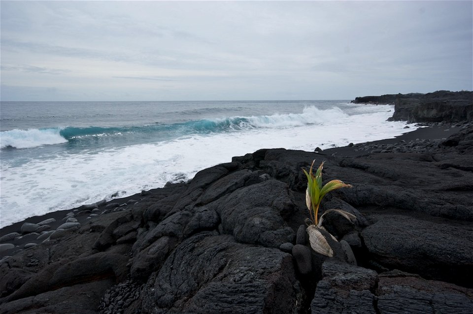 New Beach on Big Island of Hawaii, formed by volcanic eruption of 1990