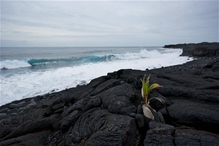 New Beach on Big Island of Hawaii, formed by volcanic eruption of 1990 photo