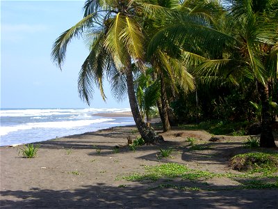 I took this picture while I stayed at Tortuguero, Costa Rica. This is showing the dark sand due to volcanic ash and a nice view Caribbean sea. photo