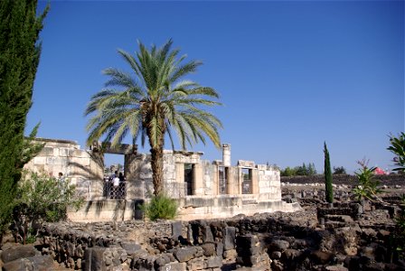 Remains of the Synagogue of Capernaum photo