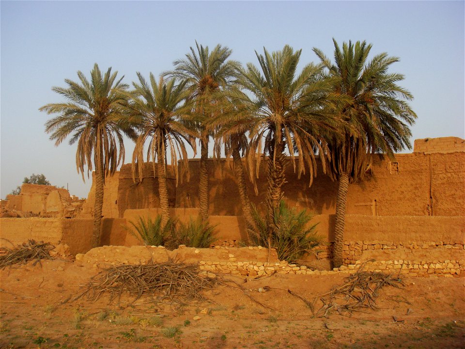 majmaah, saudi arabia