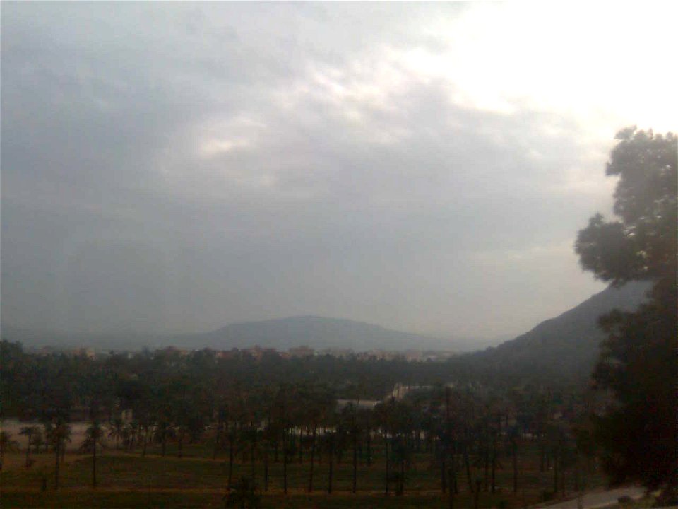 Palmeral de Orihuela, desde la carretera nacional
