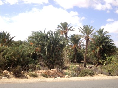 A view of the Libyan village of Umm ar Rizam. photo