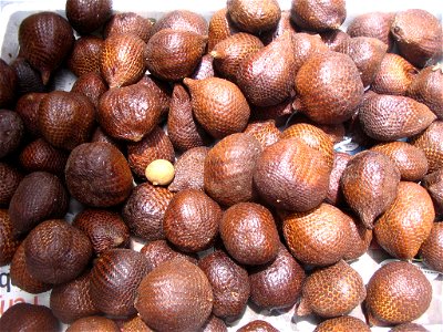 Salaks - Salacca zalacca , sur le marché de Chow Kit, Kuala Lumpur -  Malaisie