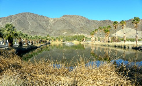Lake Tuendae on the grounds of the Desert Studies Center in Zzyzx, California. Photograph taken by Mark A. Wilson (Department of Geology, The College of Wooster).