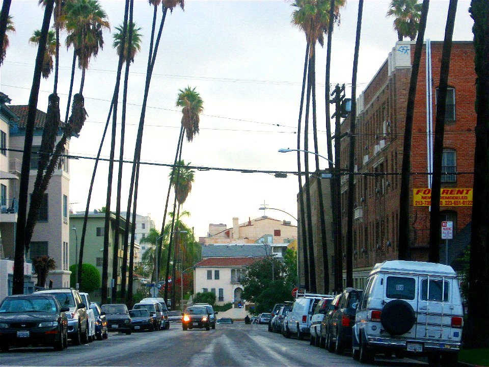 Street in Koreatown photo