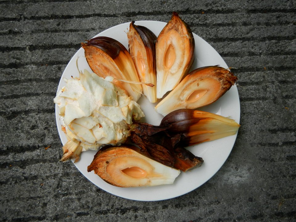 Rare seeds Nypa fruticans fruit seeds Seeds of Nypa fruticans fruits in the Philippines Nypa fruticans Nypa fruticans Wurmb. Nypa fruticans Wurmb., Arecaceae Flora of the Philippines, bears globular f