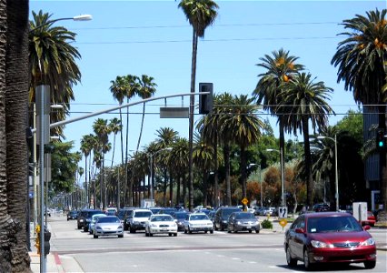 East view of a section of Sherman Way in  — located in the western San Fernando Valley, Los Angeles, California.
• The palm allée of Mexican fan palms (center) and Canary Island date palms (sides) was