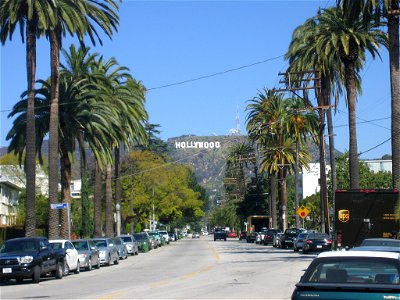 Residential neighborhood in Hollywood, with the Hollywood Sign in backround.

The street is lined with old Canary Island date palm (Phoenix canariensis) trees.