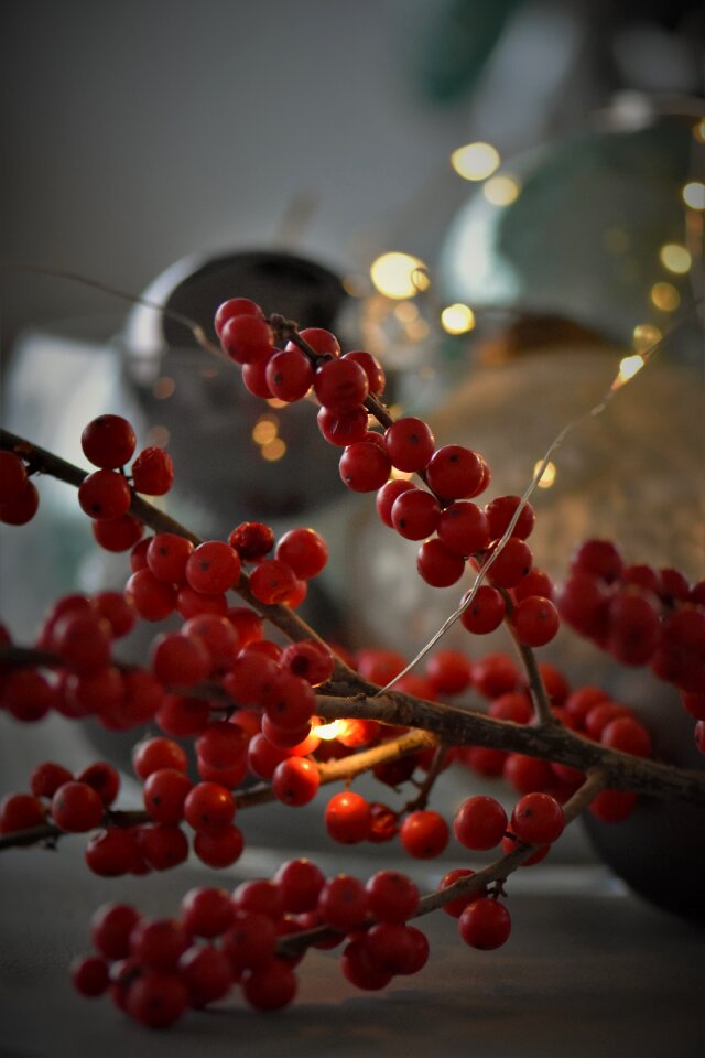Decoration advent balls