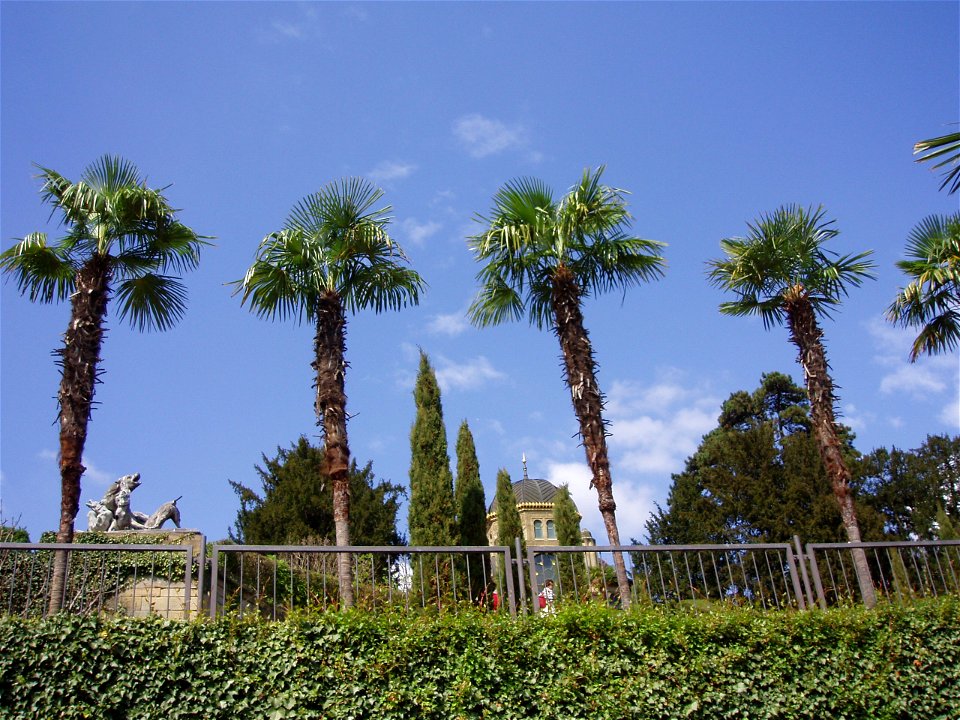 Blick Richtung Belvedere