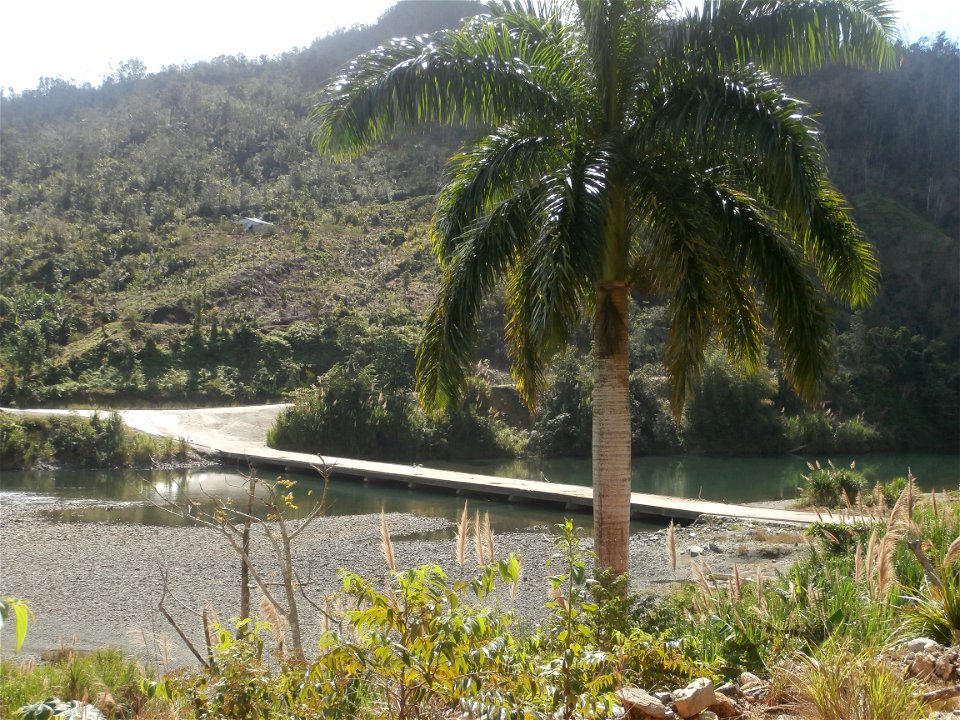 Upstream bridge over Río Toa, Guantánamo province, Cuba