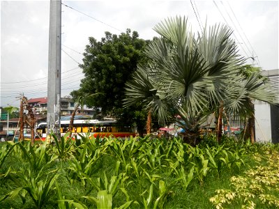 687 Load Limit 15 metric Tons load limit Balintawak Interchange located at EDSA, connecting Legislative districts of Caloocan District 2, Barangays of Caloocan Barangays 138 and 139, Zone 12, Bagong B