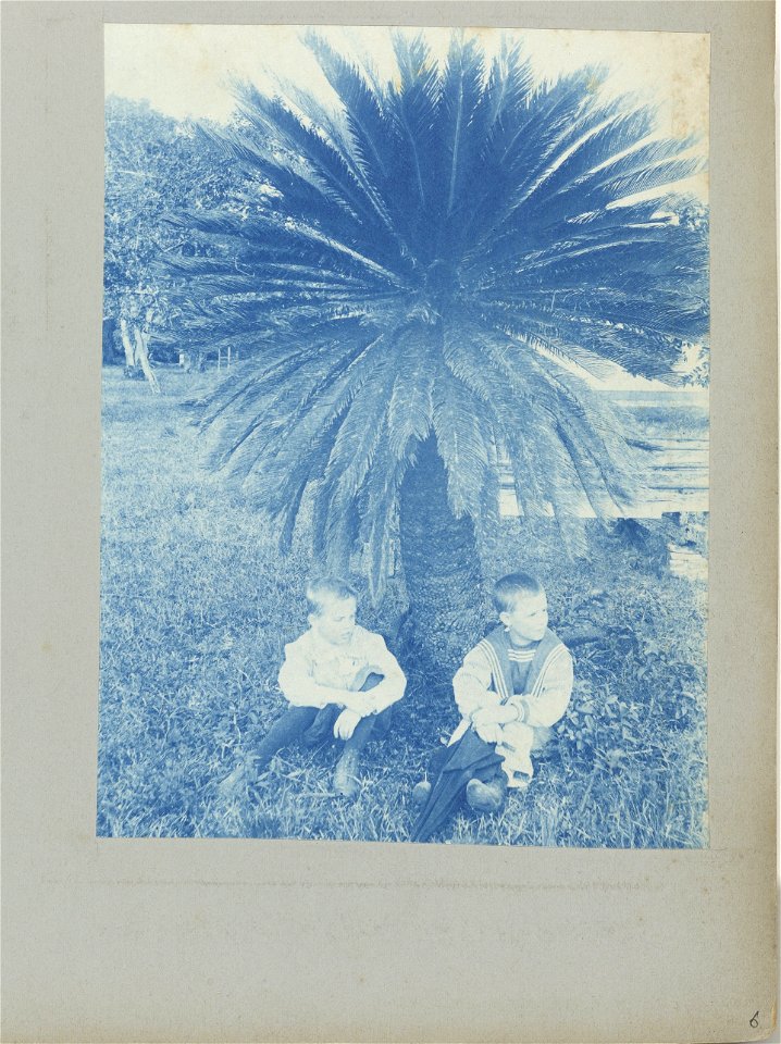 IdentificatieTitel(s): Anton en Piet onder sagopalm. (Tourtonne) (titel op object)Objecttype: foto Objectnummer: NG-1994-65-1-6-2Omschrijving: Twee Hollandse jongens genaamd Anton en Piet zittend onde