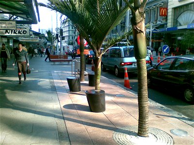 This shows a section of the upgraded Queen Street that has been completed recently, with new Nikau Palms (Rhopalostylis sapida), paving and street furniture. photo