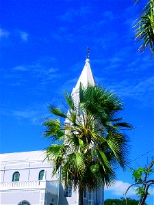 Catedral de Campo Maior em ângulo centrado numa carnaúba.