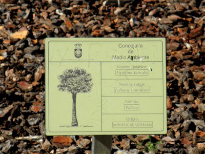 Livistona australis info plaque, Parque El Pilar de Ciudad Real, Spain