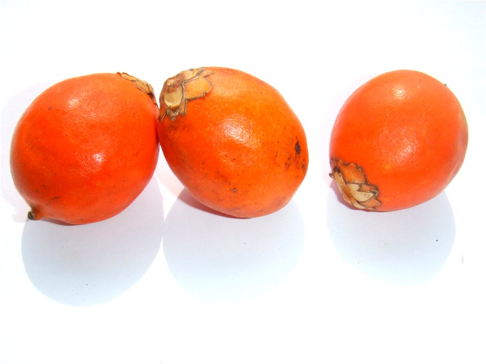 Astrocaryum vulgare (Awarra) bought at the Visserijplein market in Rotterdam, The Netherlands