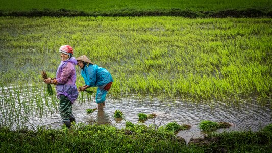 Agriculture emotions cheerful