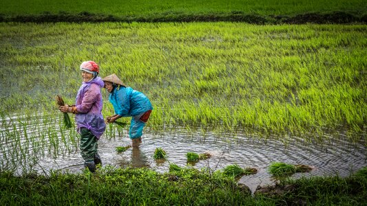 Agriculture emotions cheerful photo