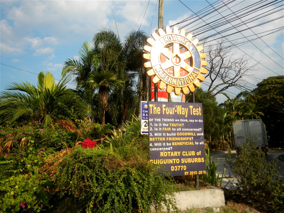 Guiguinto Interchange KM 37 (A4 parclo, NLEx, MacArthur Highway, Santa Cruz, Guiguinto, Bulacan)  Coccothrinax crinita guano barbudo, guano petate,  Old man palm, palma petate) in the Garden City of G