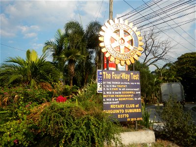 Guiguinto Interchange KM 37 (A4 parclo, NLEx, MacArthur Highway, Santa Cruz, Guiguinto, Bulacan) Coccothrinax crinita guano barbudo, guano petate, Old man palm, palma petate) in the Garden City of G photo