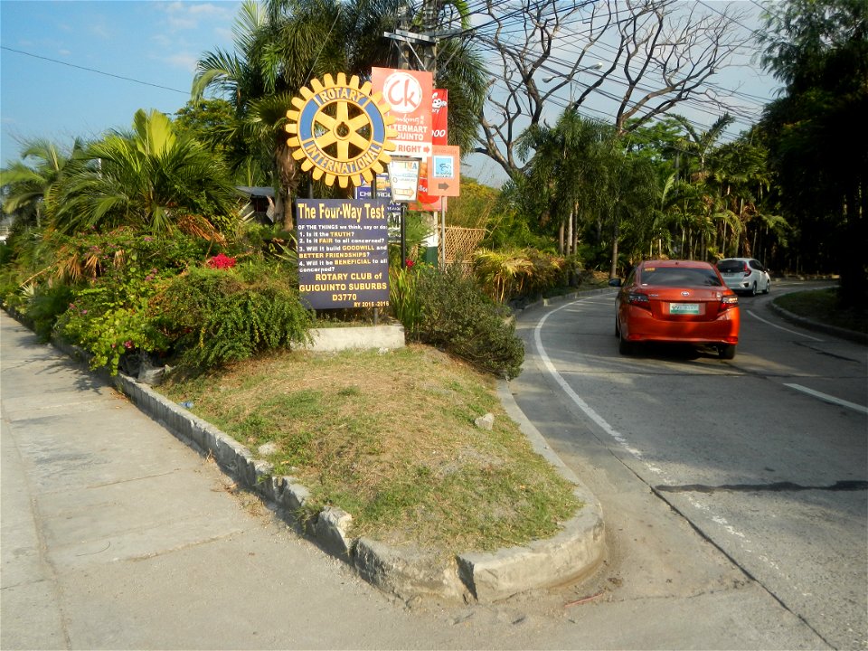 Guiguinto Interchange KM 37 (A4 parclo, NLEx, MacArthur Highway, Santa Cruz, Guiguinto, Bulacan)  Coccothrinax crinita guano barbudo, guano petate,  Old man palm, palma petate) in the Garden City of G
