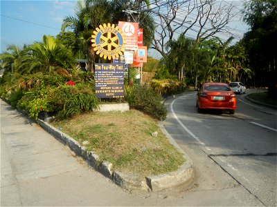 Guiguinto Interchange KM 37 (A4 parclo, NLEx, MacArthur Highway, Santa Cruz, Guiguinto, Bulacan) Coccothrinax crinita guano barbudo, guano petate, Old man palm, palma petate) in the Garden City of G photo