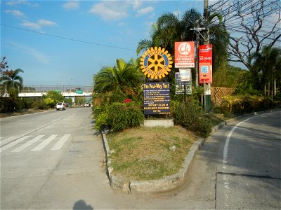 Guiguinto Interchange KM 37 (A4 parclo, NLEx, MacArthur Highway, Santa Cruz, Guiguinto, Bulacan) Coccothrinax crinita guano barbudo, guano petate, Old man palm, palma petate) in the Garden City of G photo