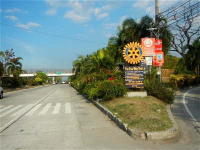 Guiguinto Interchange KM 37 (A4 parclo, NLEx, MacArthur Highway, Santa Cruz, Guiguinto, Bulacan) Coccothrinax crinita guano barbudo, guano petate, Old man palm, palma petate) in the Garden City of G photo