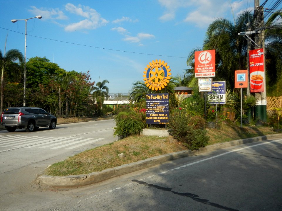 Guiguinto Interchange KM 37 (A4 parclo, NLEx, MacArthur Highway, Santa Cruz, Guiguinto, Bulacan)  Coccothrinax crinita guano barbudo, guano petate,  Old man palm, palma petate) in the Garden City of G