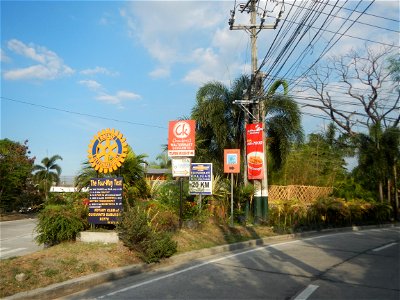 Guiguinto Interchange KM 37 (A4 parclo, NLEx, MacArthur Highway, Santa Cruz, Guiguinto, Bulacan) Coccothrinax crinita guano barbudo, guano petate, Old man palm, palma petate) in the Garden City of G photo