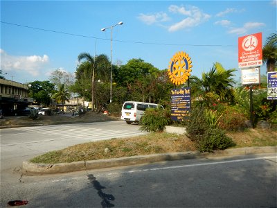 Guiguinto Interchange KM 37 (A4 parclo, NLEx, MacArthur Highway, Santa Cruz, Guiguinto, Bulacan) Coccothrinax crinita guano barbudo, guano petate, Old man palm, palma petate) in the Garden City of G photo