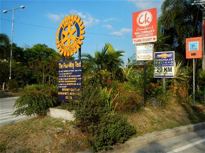 Guiguinto Interchange KM 37 (A4 parclo, NLEx, MacArthur Highway, Santa Cruz, Guiguinto, Bulacan) Coccothrinax crinita guano barbudo, guano petate, Old man palm, palma petate) in the Garden City of G photo