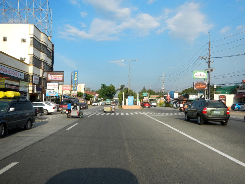 Guiguinto Interchange KM 37 (A4 parclo, NLEx, MacArthur Highway, Santa Cruz, Guiguinto, Bulacan)  Coccothrinax crinita guano barbudo, guano petate,  Old man palm, palma petate) in the Garden City of G
