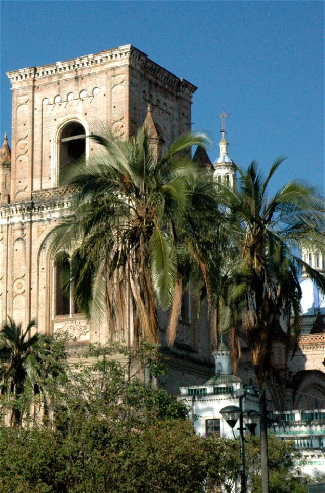 Parajubaea cocoides in front of New Cathedral of Cuenca, Ecuador