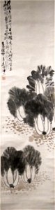 Bok Choy, ink and color painting on paper by Wu Changshuo (1844-1927) photo