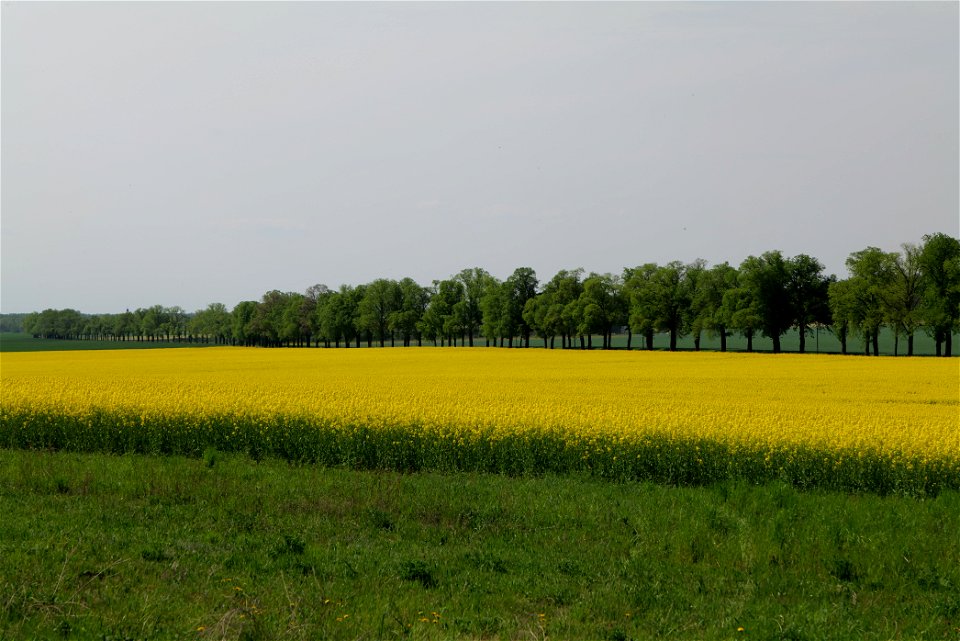 Landschaftsschutzgebiet Notte-Niederung am 11. Mai 2021.