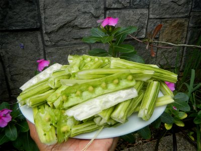 Food dishes delicacies of Bulacan Province